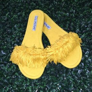 Yellow flats